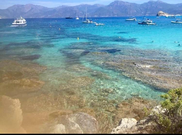 Villa Le Corail Rouge Corse Lecci Exteriér fotografie