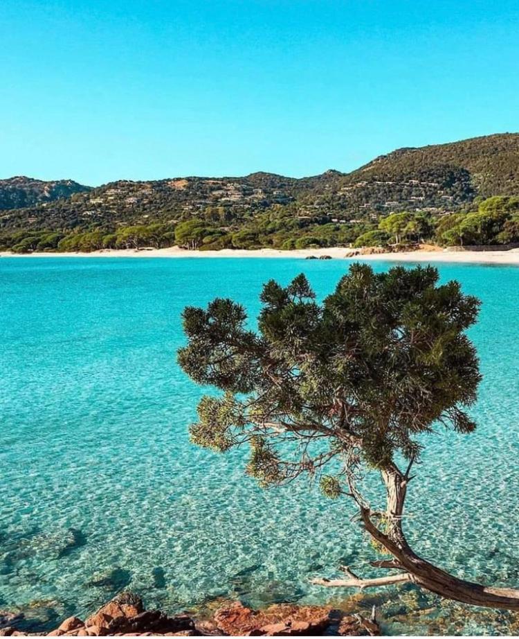 Villa Le Corail Rouge Corse Lecci Exteriér fotografie