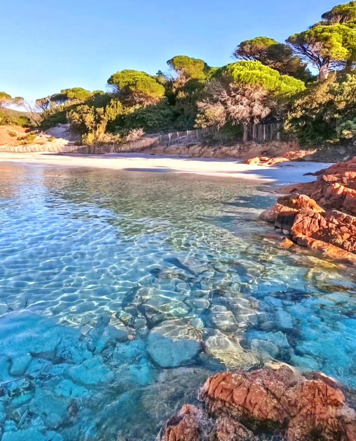 Villa Le Corail Rouge Corse Lecci Exteriér fotografie