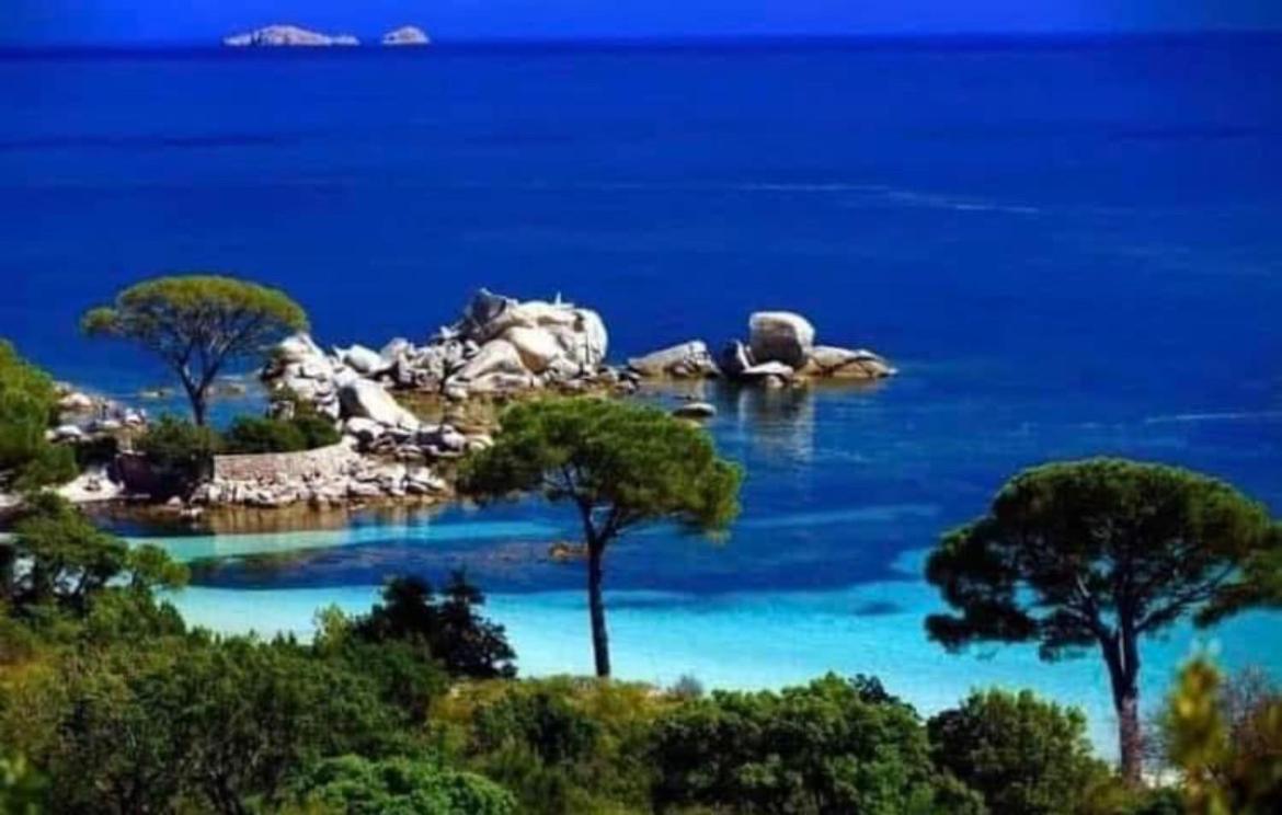 Villa Le Corail Rouge Corse Lecci Exteriér fotografie